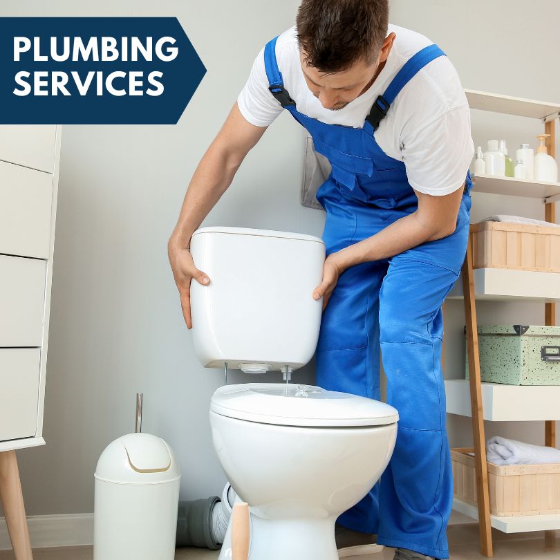 Plumbing Company in Burr Oak, MI